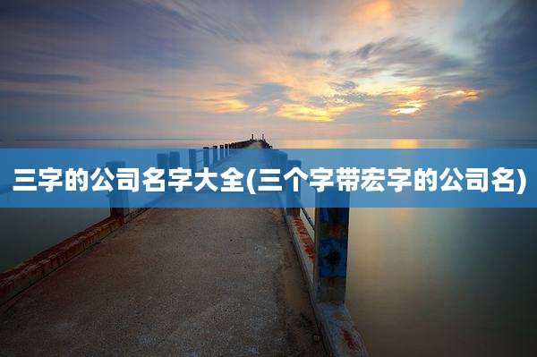 三字的公司名字大全(三个字带宏字的公司名)