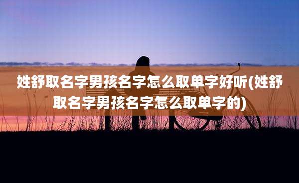 姓舒取名字男孩名字怎么取单字好听(姓舒取名字男孩名字怎么取单字的)
