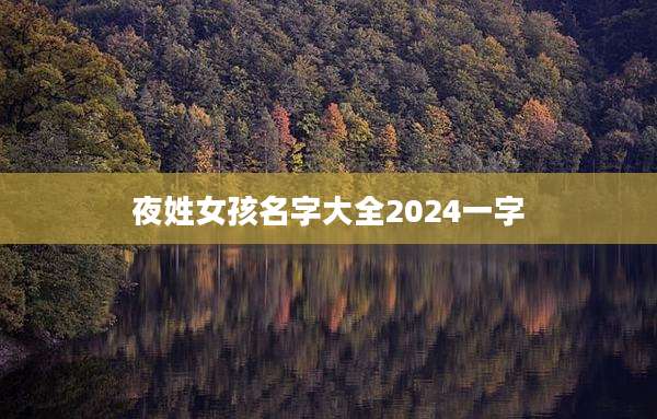 夜姓女孩名字大全2024一字