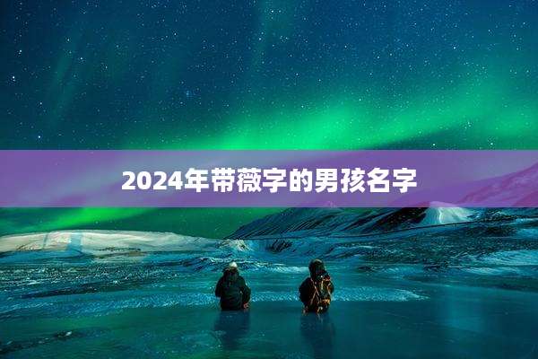 2024年带薇字的男孩名字