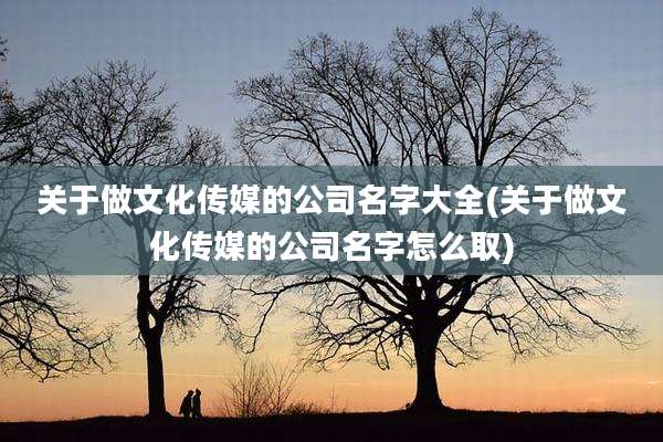关于做文化传媒的公司名字大全(关于做文化传媒的公司名字怎么取)