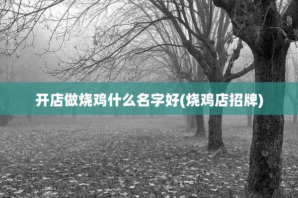 开店做烧鸡什么名字好(烧鸡店招牌)