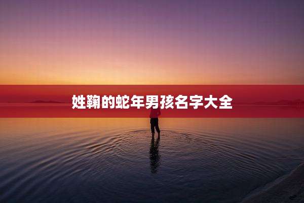 姓鞠的蛇年男孩名字大全