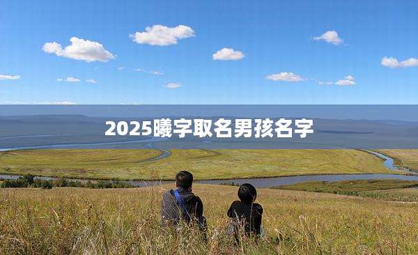 2025曦字取名男孩名字