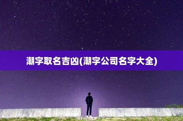 潮字取名吉凶(潮字公司名字大全)