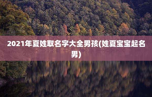 2021年夏姓取名字大全男孩(姓夏宝宝起名男)