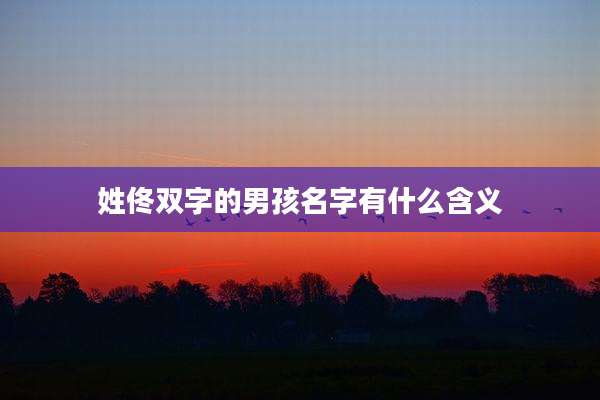 姓佟双字的男孩名字有什么含义