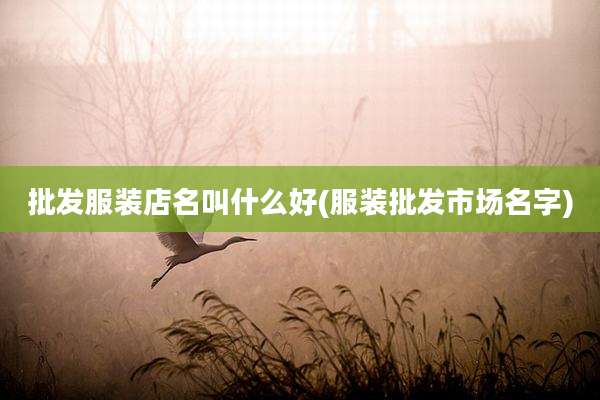 批发服装店名叫什么好(服装批发市场名字)