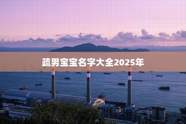 疏男宝宝名字大全2025年