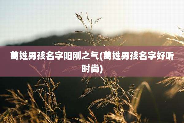 葛姓男孩名字阳刚之气(葛姓男孩名字好听时尚)