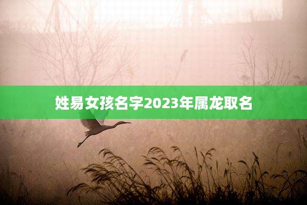 姓易女孩名字2023年属龙取名