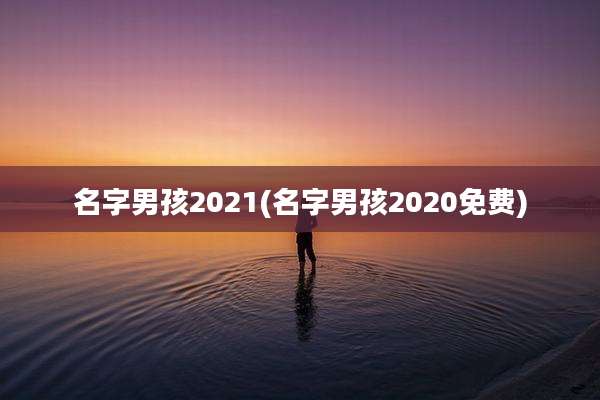 名字男孩2021(名字男孩2020免费)