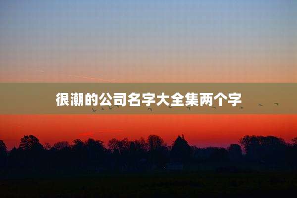 很潮的公司名字大全集两个字