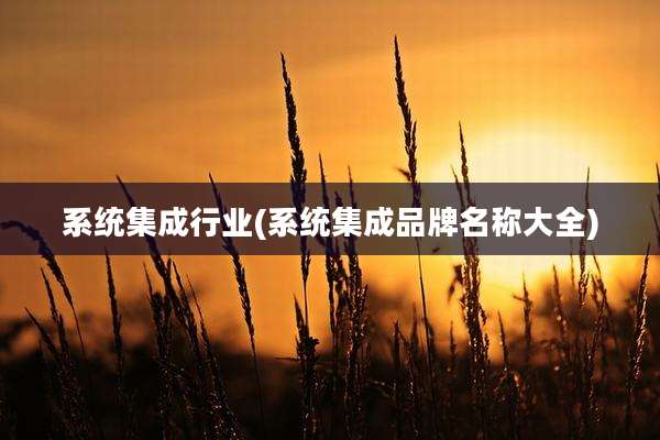 系统集成行业(系统集成品牌名称大全)