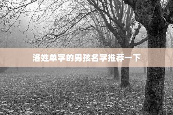 洛姓单字的男孩名字推荐一下