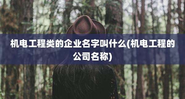 机电工程类的企业名字叫什么(机电工程的公司名称)