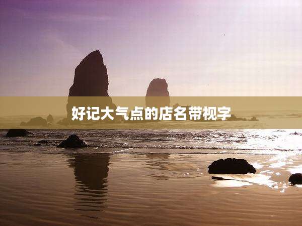 好记大气点的店名带视字