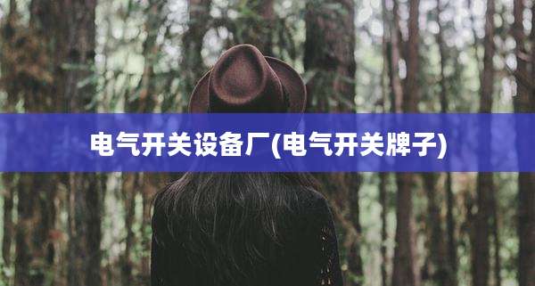 电气开关设备厂(电气开关牌子)
