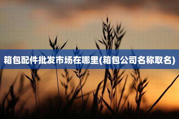 箱包配件批发市场在哪里(箱包公司名称取名)