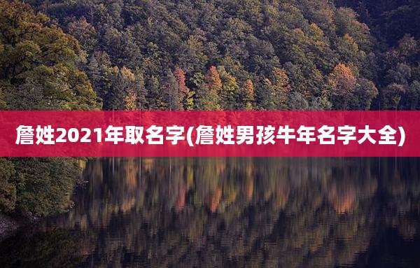 詹姓2021年取名字(詹姓男孩牛年名字大全)