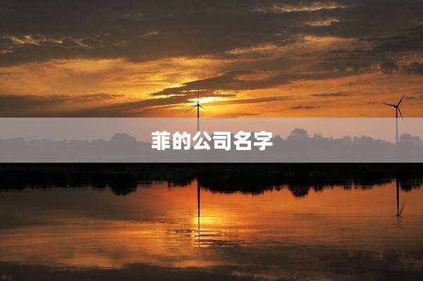 菲的公司名字