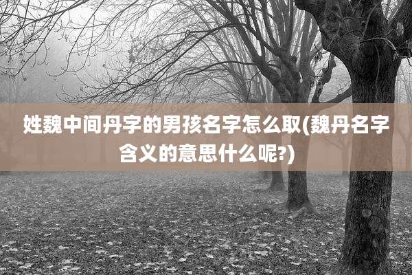 姓魏中间丹字的男孩名字怎么取(魏丹名字含义的意思什么呢?)