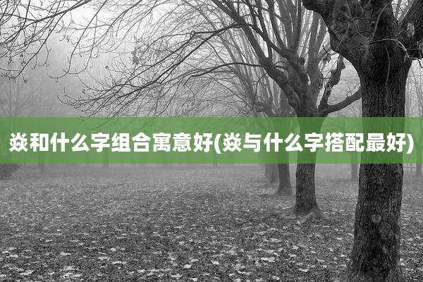 焱和什么字组合寓意好(焱与什么字搭配最好)