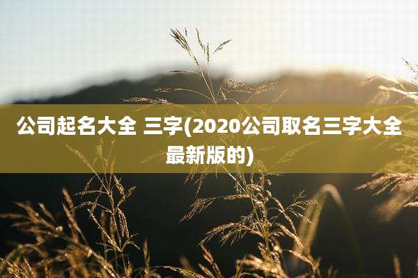 公司起名大全 三字(2020公司取名三字大全最新版的)