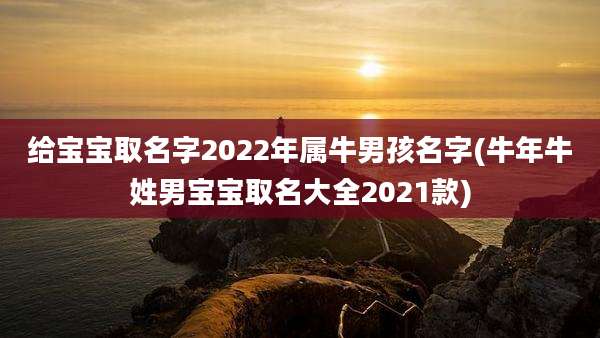 给宝宝取名字2022年属牛男孩名字(牛年牛姓男宝宝取名大全2021款)