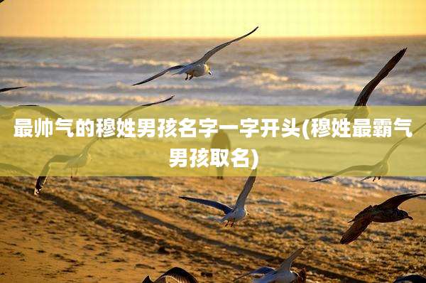 最帅气的穆姓男孩名字一字开头(穆姓最霸气男孩取名)