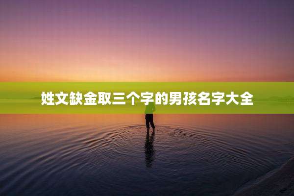 姓文缺金取三个字的男孩名字大全