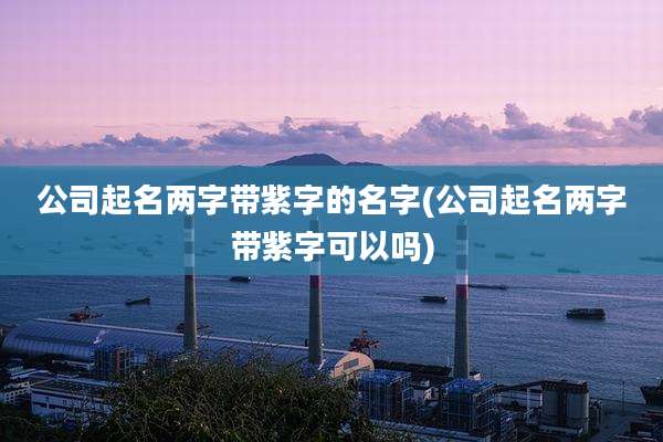 公司起名两字带紫字的名字(公司起名两字带紫字可以吗)