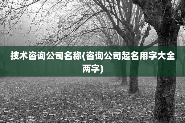 技术咨询公司名称(咨询公司起名用字大全两字)