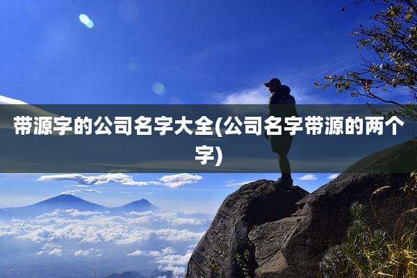 带源字的公司名字大全(公司名字带源的两个字)