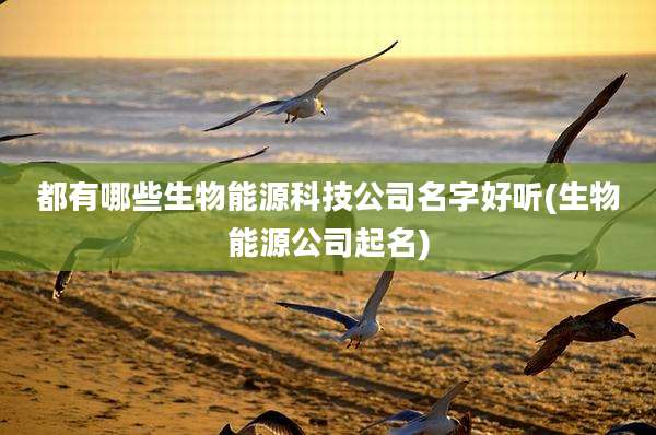 都有哪些生物能源科技公司名字好听(生物能源公司起名)