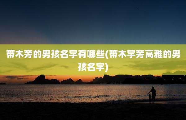带木旁的男孩名字有哪些(带木字旁高雅的男孩名字)