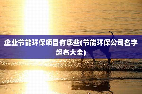 企业节能环保项目有哪些(节能环保公司名字起名大全)