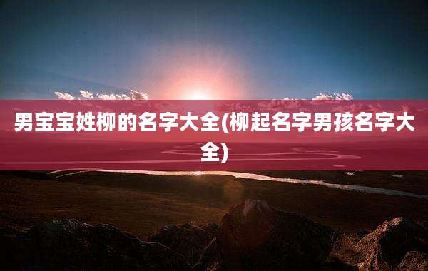 男宝宝姓柳的名字大全(柳起名字男孩名字大全)