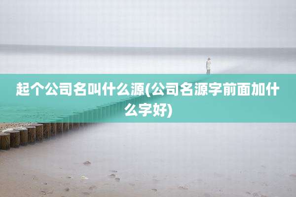 起个公司名叫什么源(公司名源字前面加什么字好)