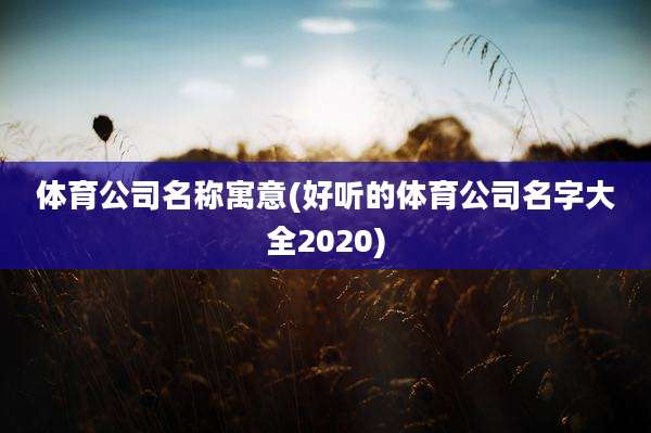 体育公司名称寓意(好听的体育公司名字大全2020)
