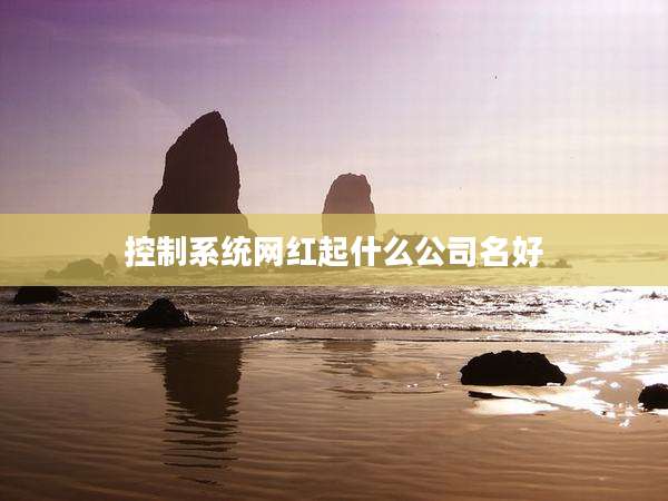 控制系统网红起什么公司名好
