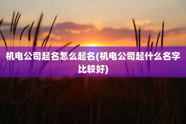 机电公司起名怎么起名(机电公司起什么名字比较好)