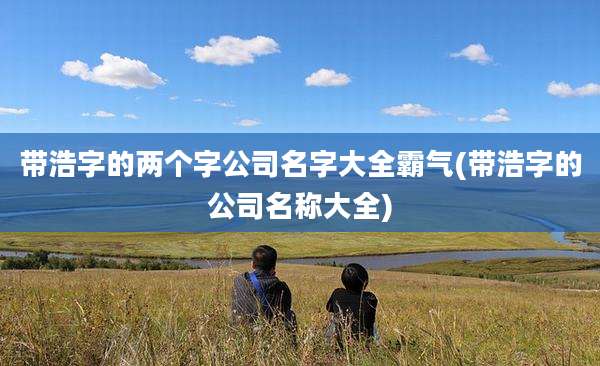 带浩字的两个字公司名字大全霸气(带浩字的公司名称大全)