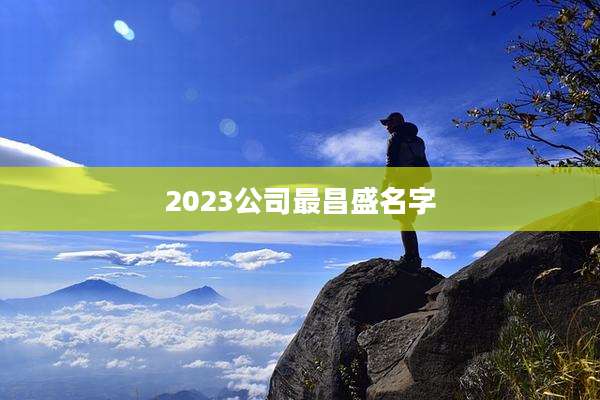 2023公司最昌盛名字
