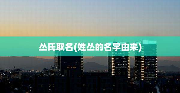 丛氏取名(姓丛的名字由来)