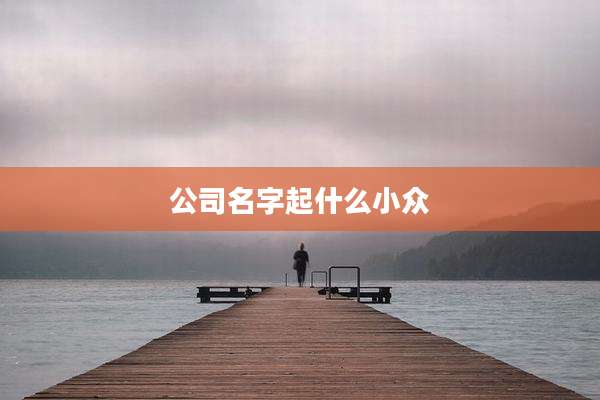 公司名字起什么小众