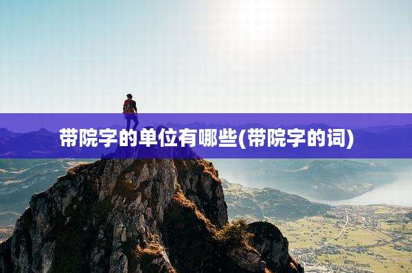 带院字的单位有哪些(带院字的词)