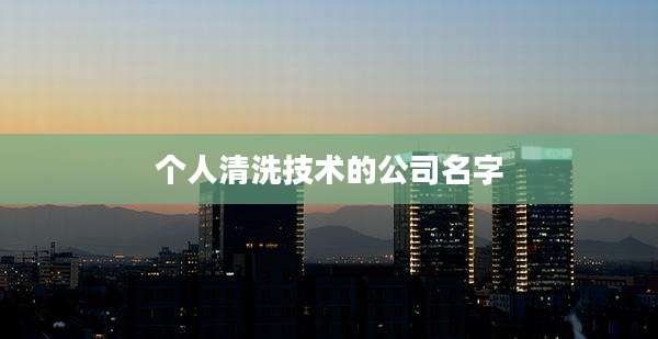 个人清洗技术的公司名字