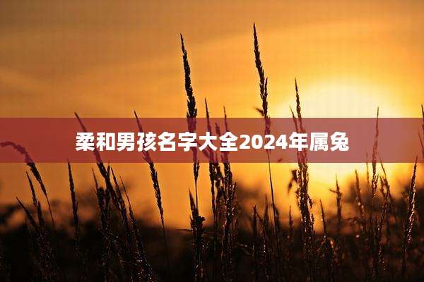 柔和男孩名字大全2024年属兔