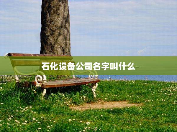 石化设备公司名字叫什么